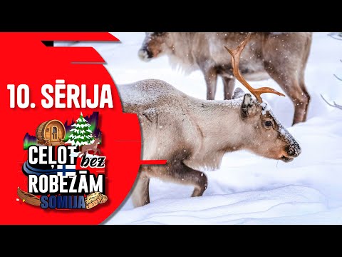 Somija, Levi, ziemeļbrieži, krabis un slēpošana!