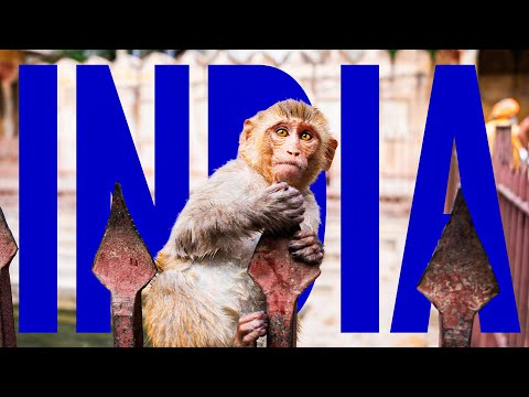 Jaipur, Rozā pilsēta jeb Indijas Parīze.