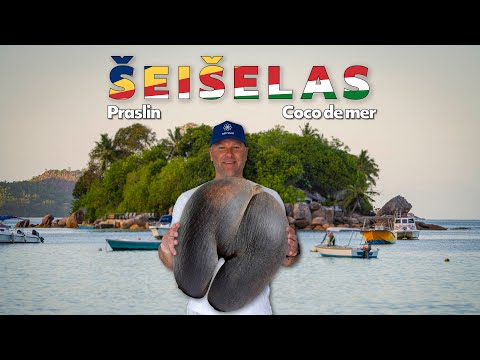 Praslin sala un Pasaules lielākais rieksts, Coco De Mer